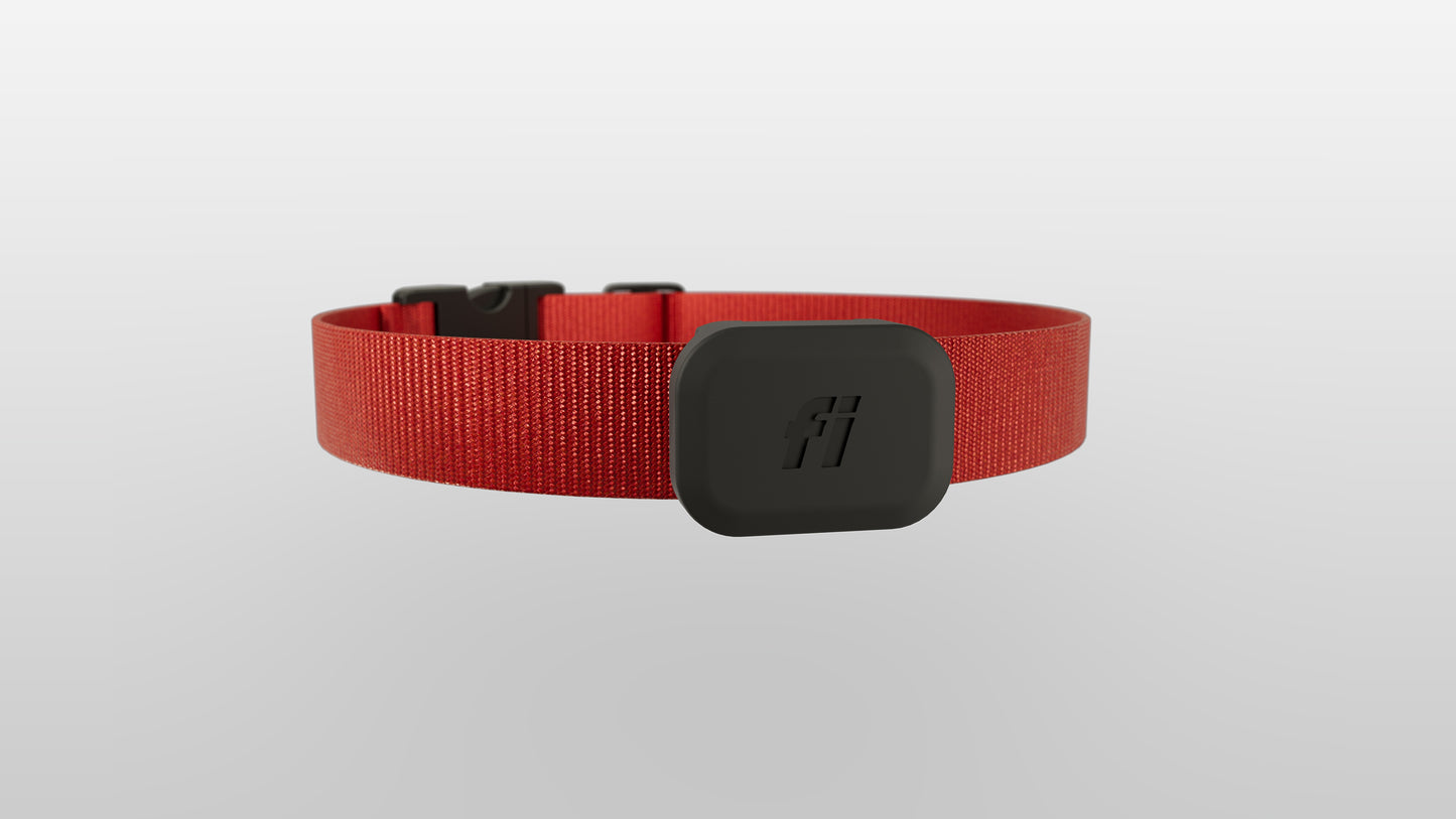Exclusive Shamrock Offer - The Fi Mini - Save $60!!