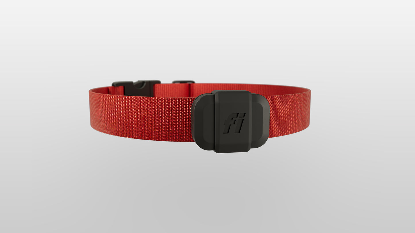 Exclusive Shamrock Offer - The Fi Mini - Save $60!!